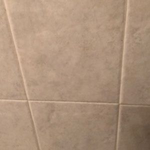 Meet your Posher, Albert